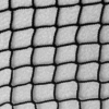 Cargo Safety Net